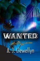 Mingo McCloud book cover 1