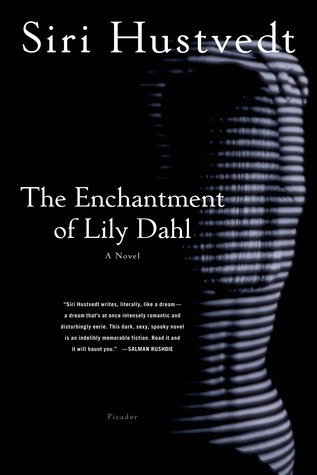 The Enchantment of Lily Dahl book cover