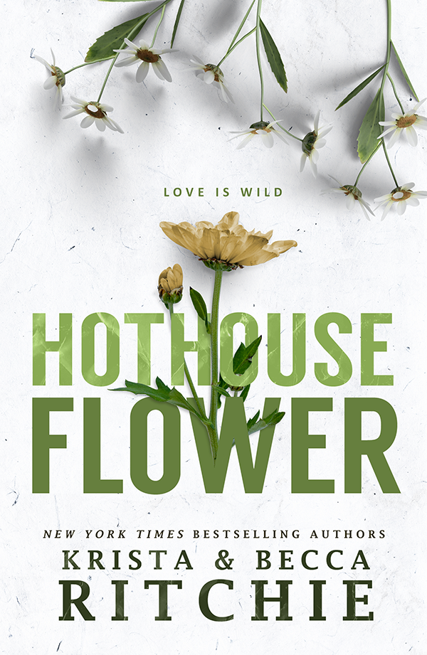 Calloway Sisters book cover 2