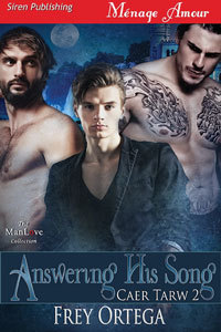 Caer Tarw book cover 2