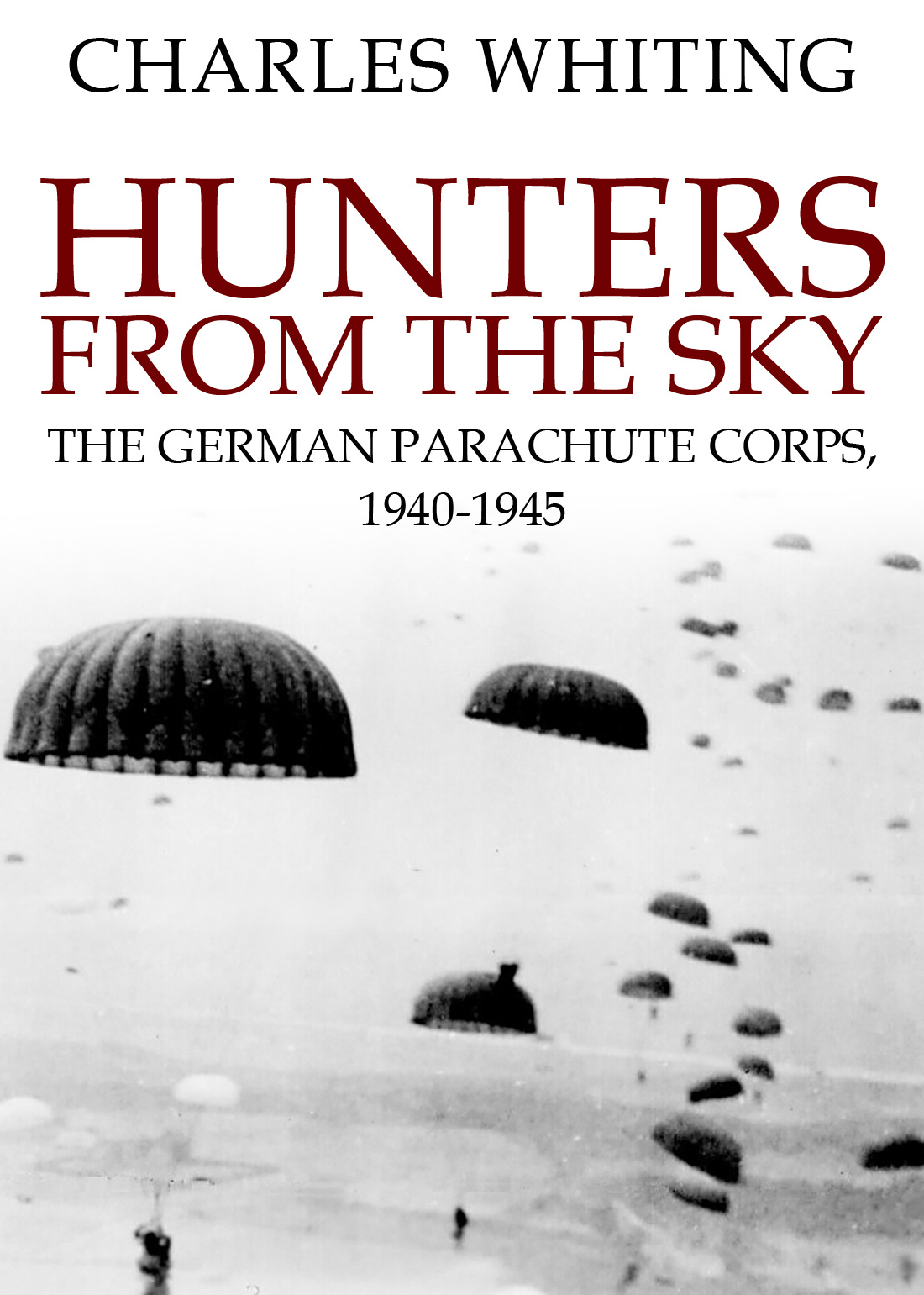 Hunters from the Sky book cover