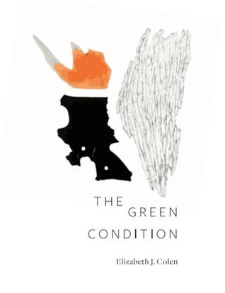 The Green Condition book cover