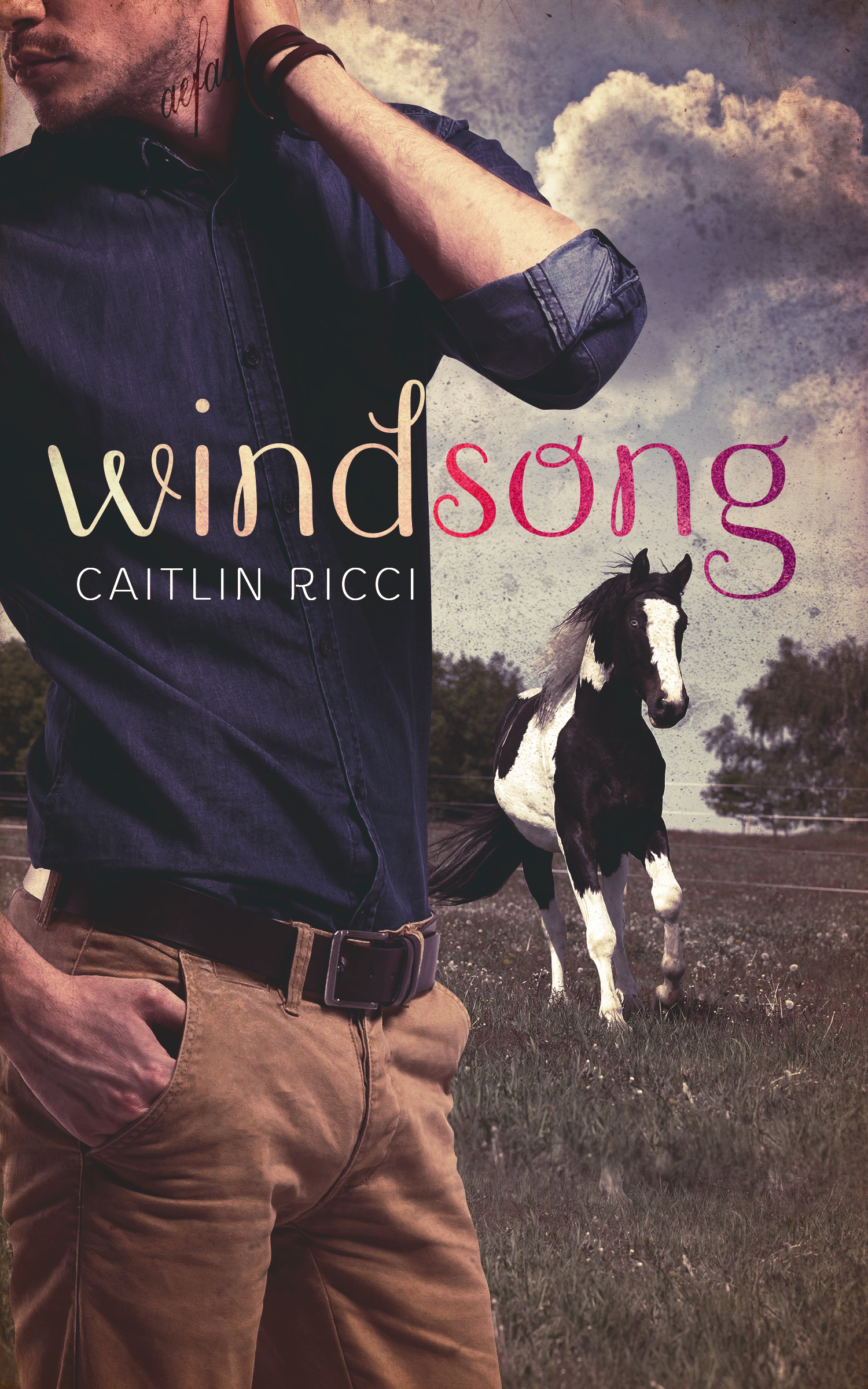 Windsong book cover
