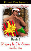 Ringing In The Season book cover
