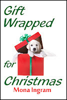A Family for Christmas book cover