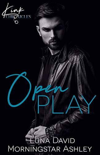 Kink Chronicles book cover 3