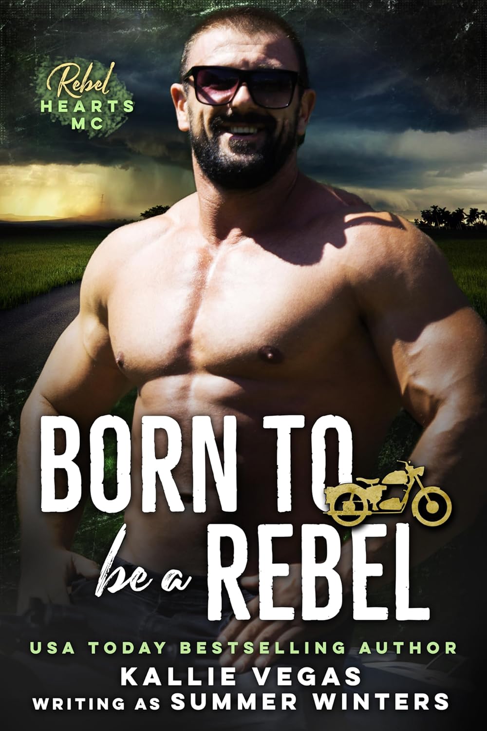 Born to be a Rebel book cover