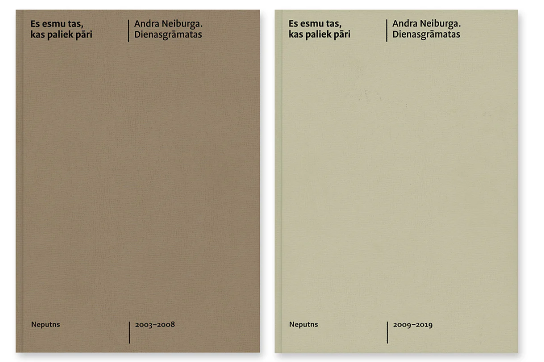 Es esmu tas, kas paliek pāri. Dienasgrāmatas. 2003-2019 book cover