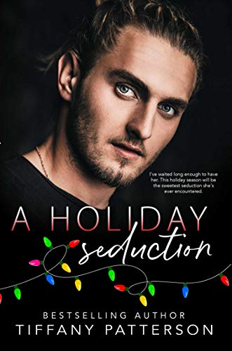 A Holiday Seduction book cover