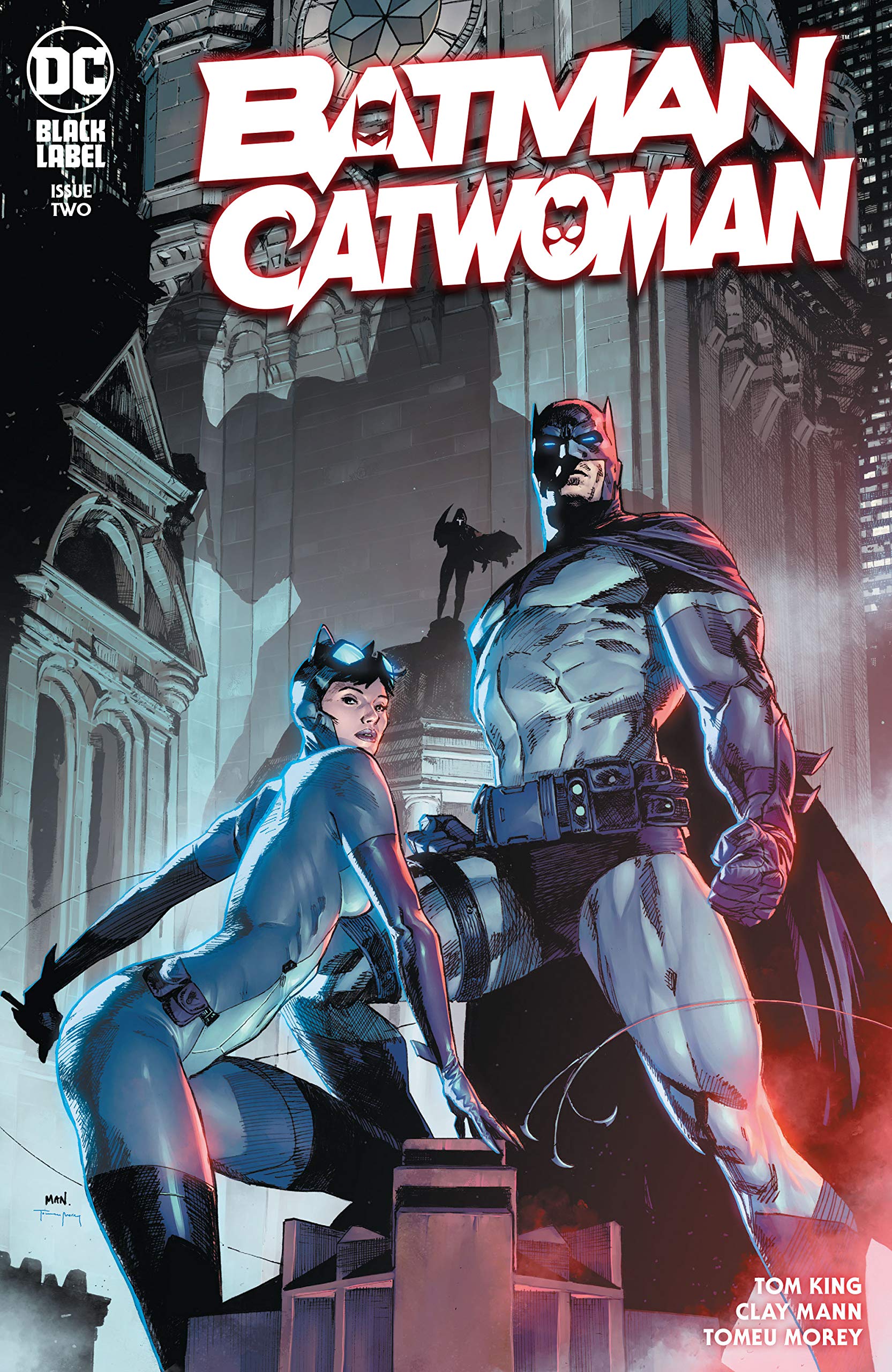Batman/Catwoman book cover 1