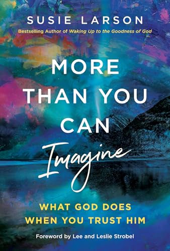 More Than You Can Imagine book cover