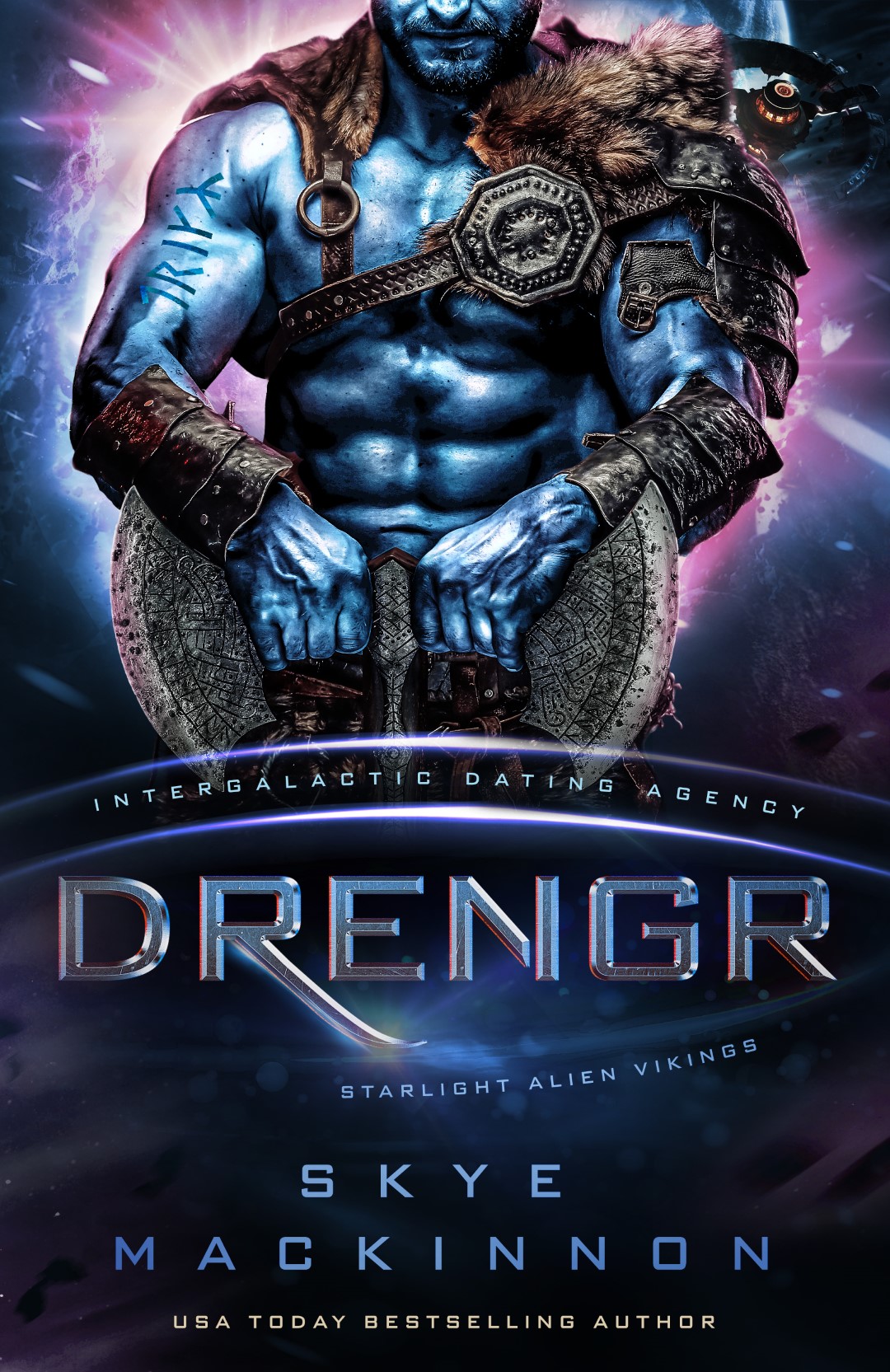 Starlight Vikings book cover 2