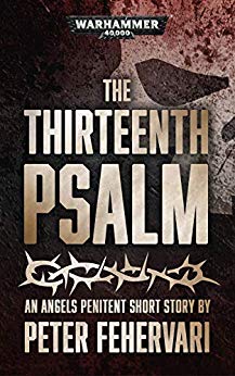 The Thirteenth Psalm book cover