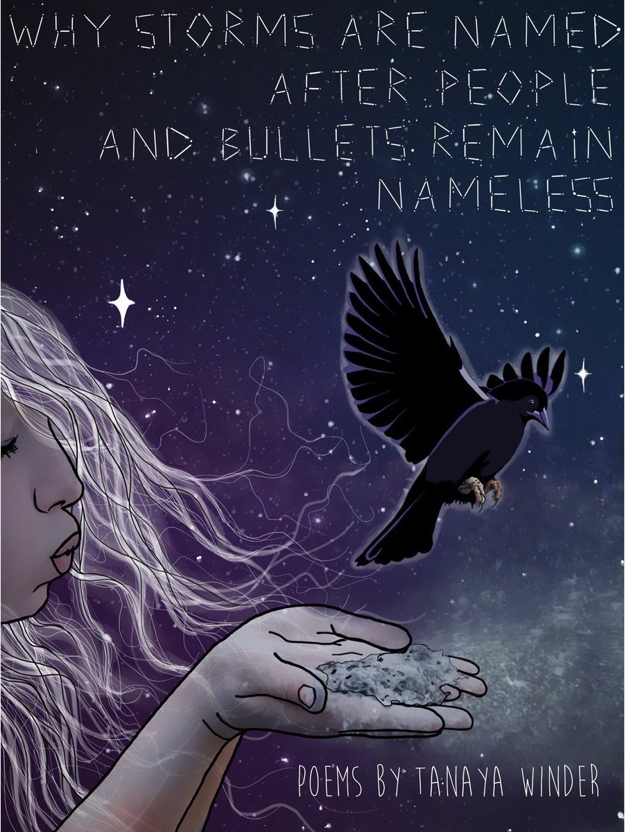 Why Storms Are Named After People and Bullets Remain Nameless book cover