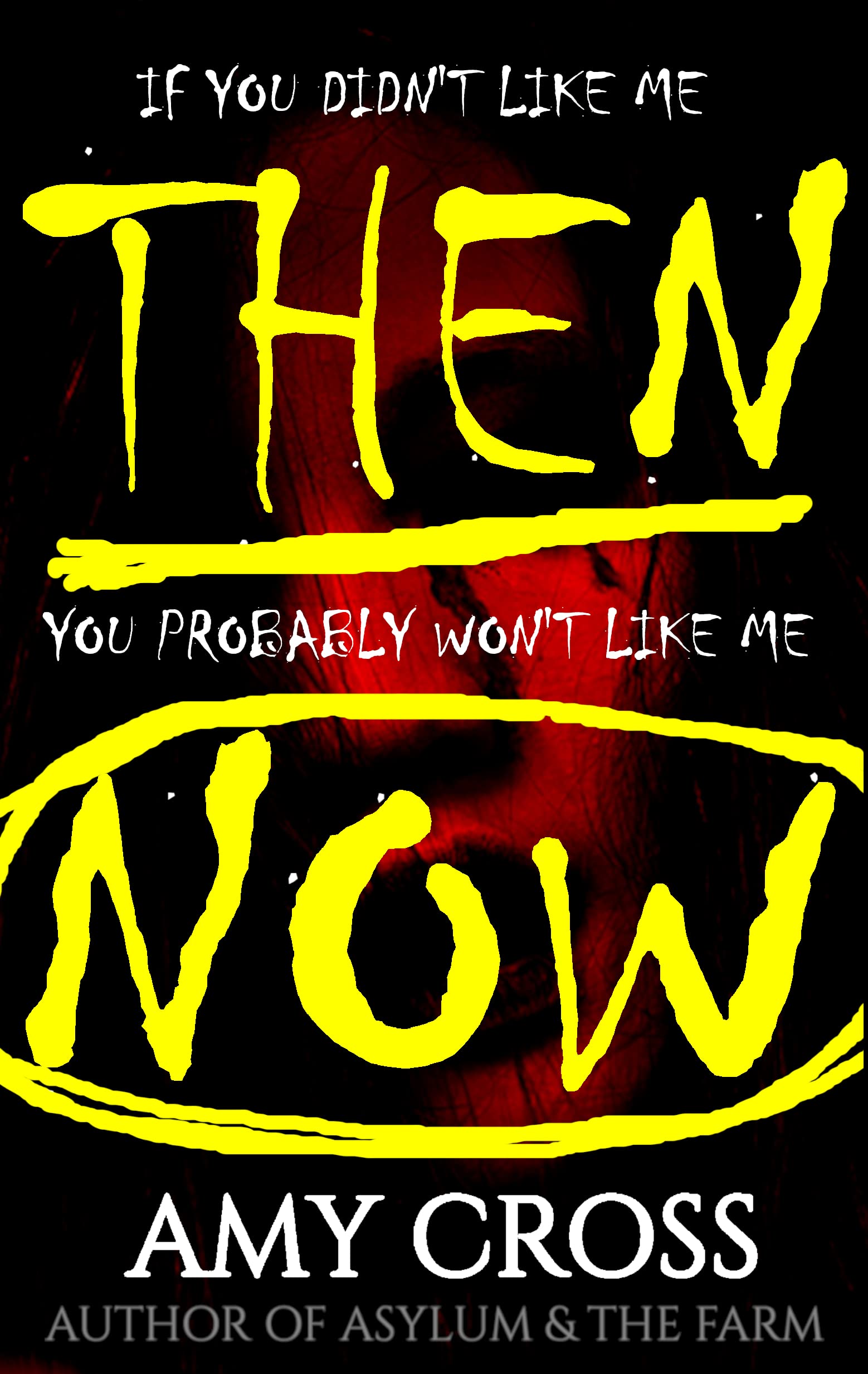 If You Didn't Like Me Then, You Probably Won't Like Me Now book cover