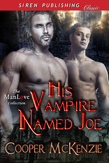 His Vampire Named Joe book cover