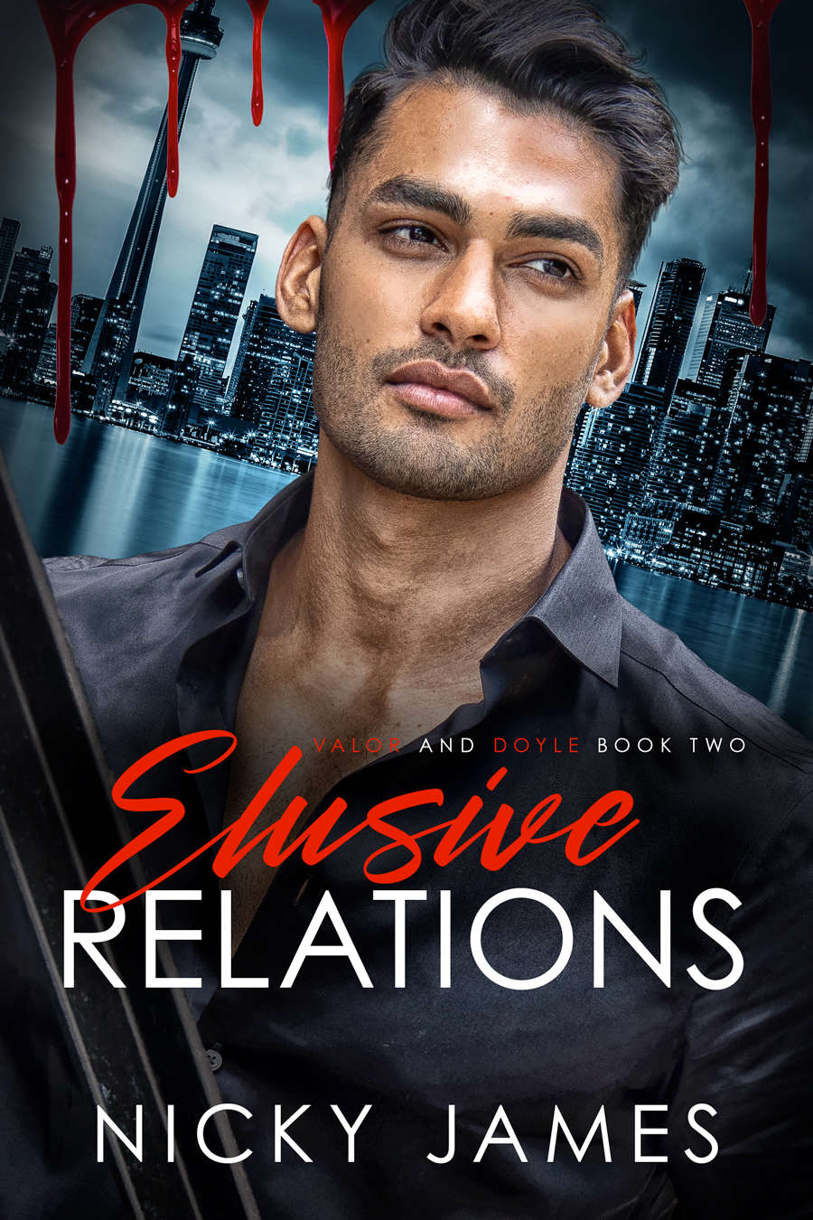 Valor and Doyle Mysteries book cover 2