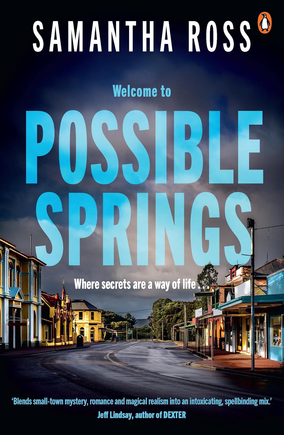 Possible Springs book cover