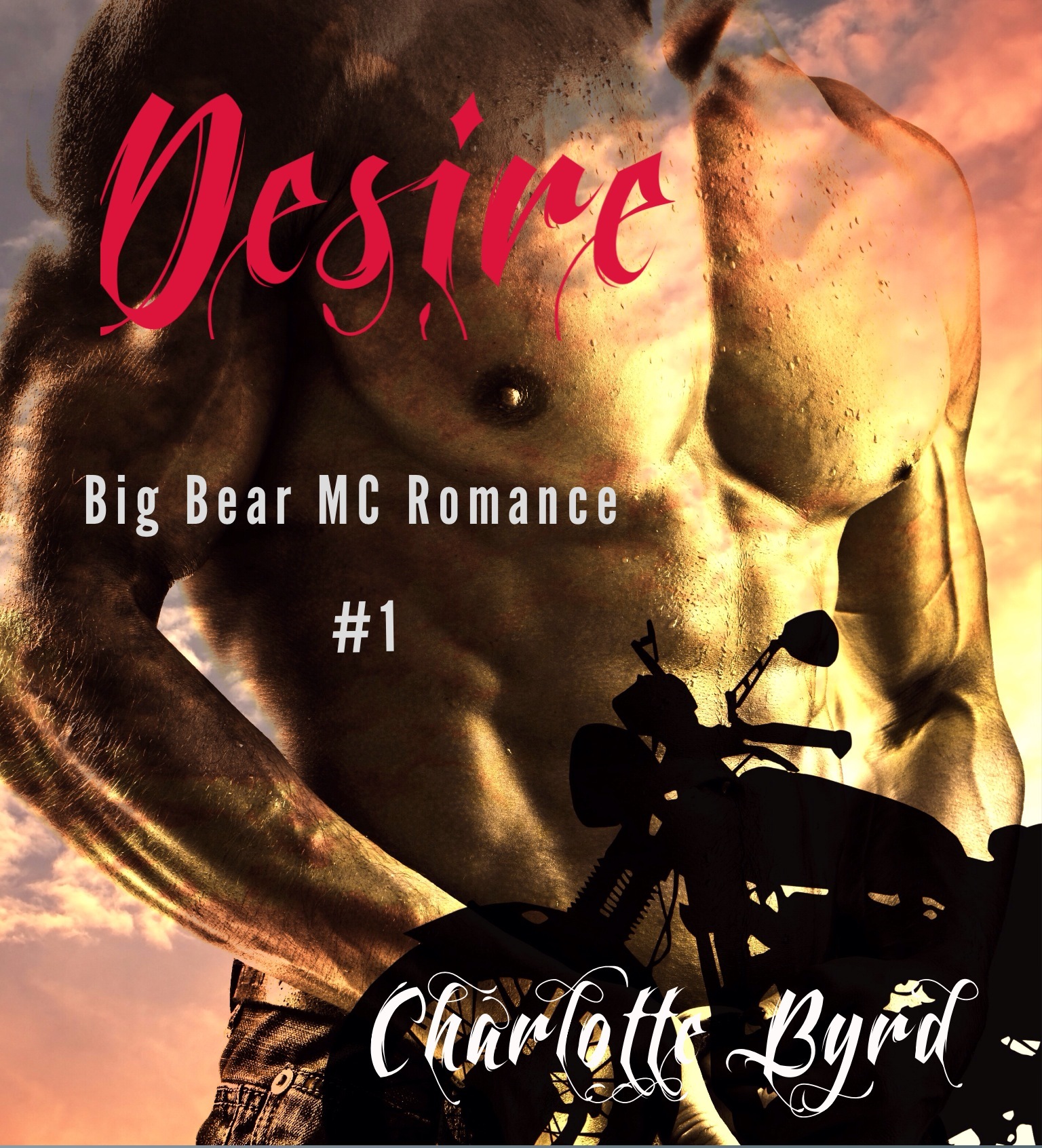 Big Bear Outlaw MC book cover 1