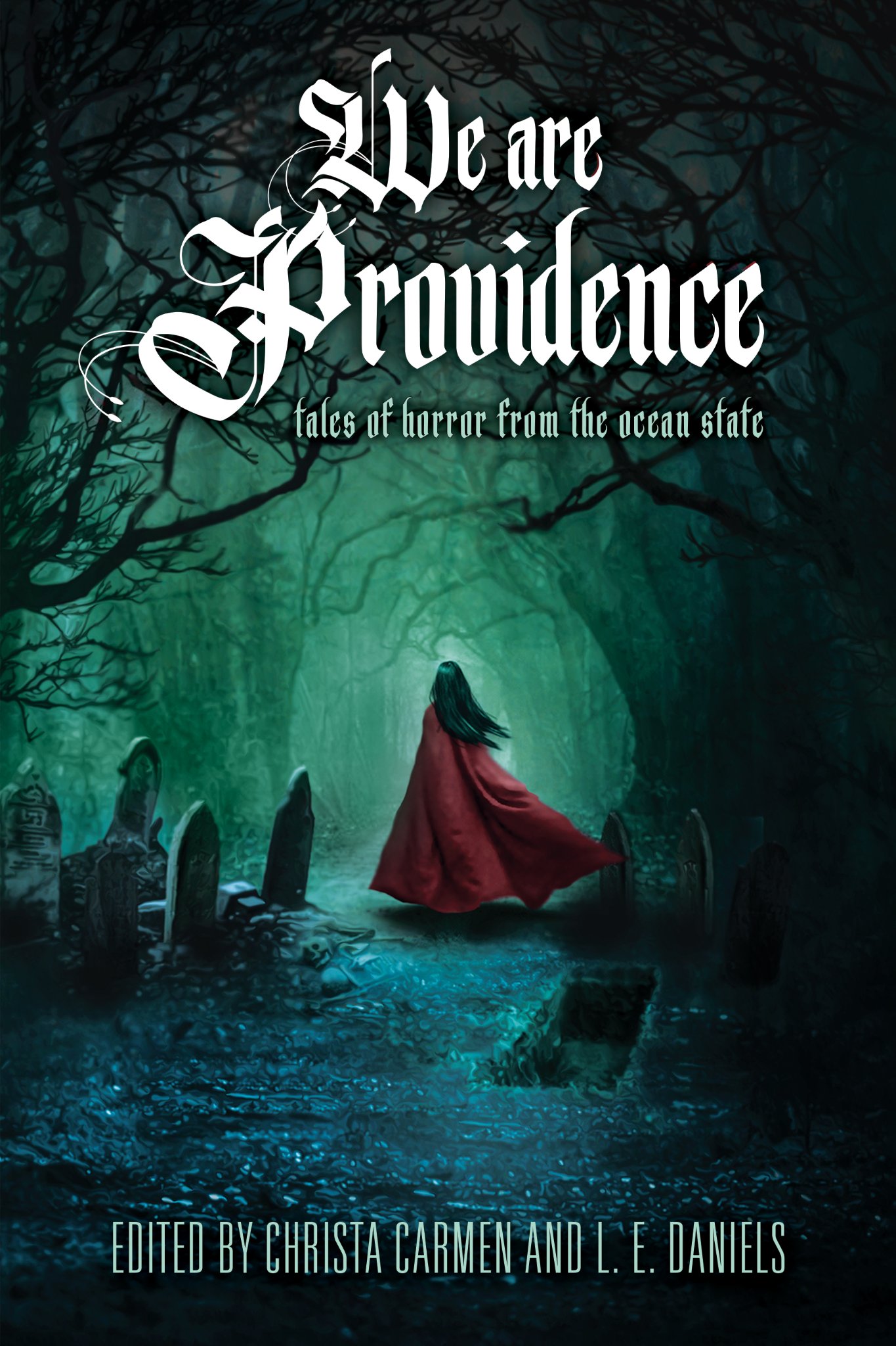 We Are Providence book cover