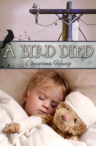 A Bird Died book cover