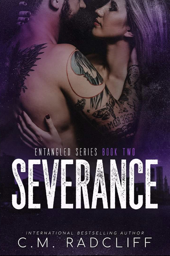 Entangled book cover 2
