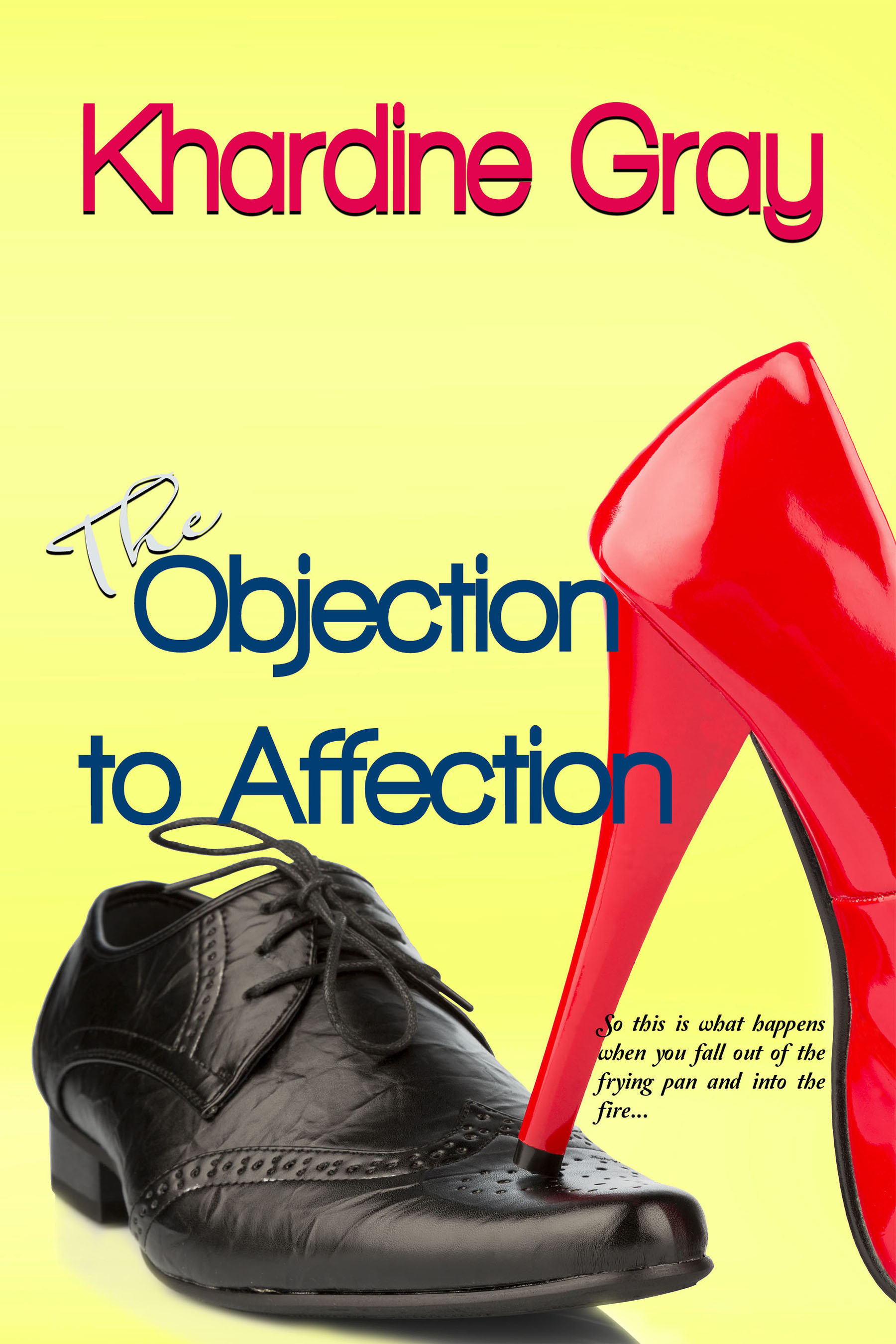 The Objection to Affection book cover