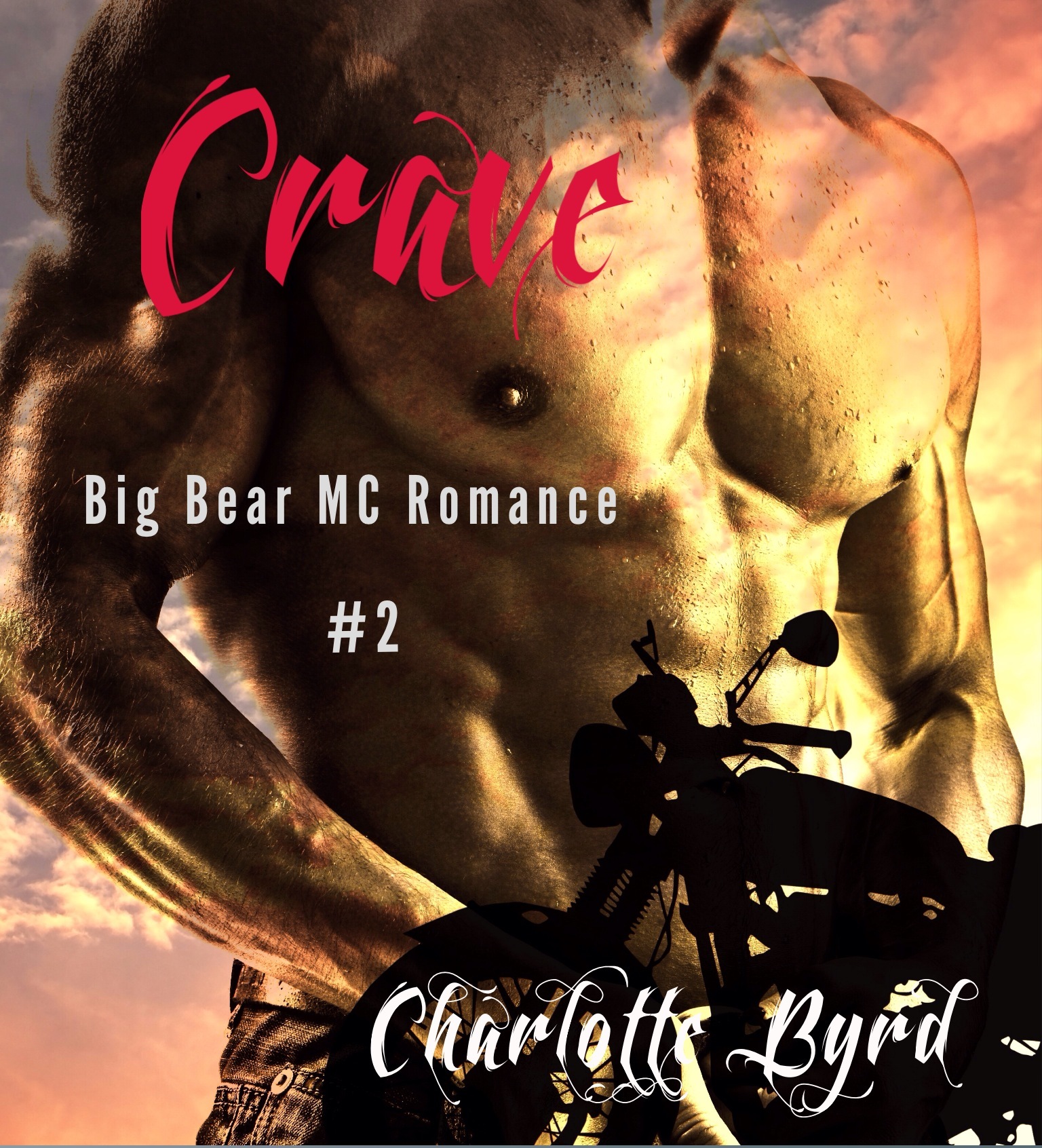 Big Bear Outlaw MC book cover 2