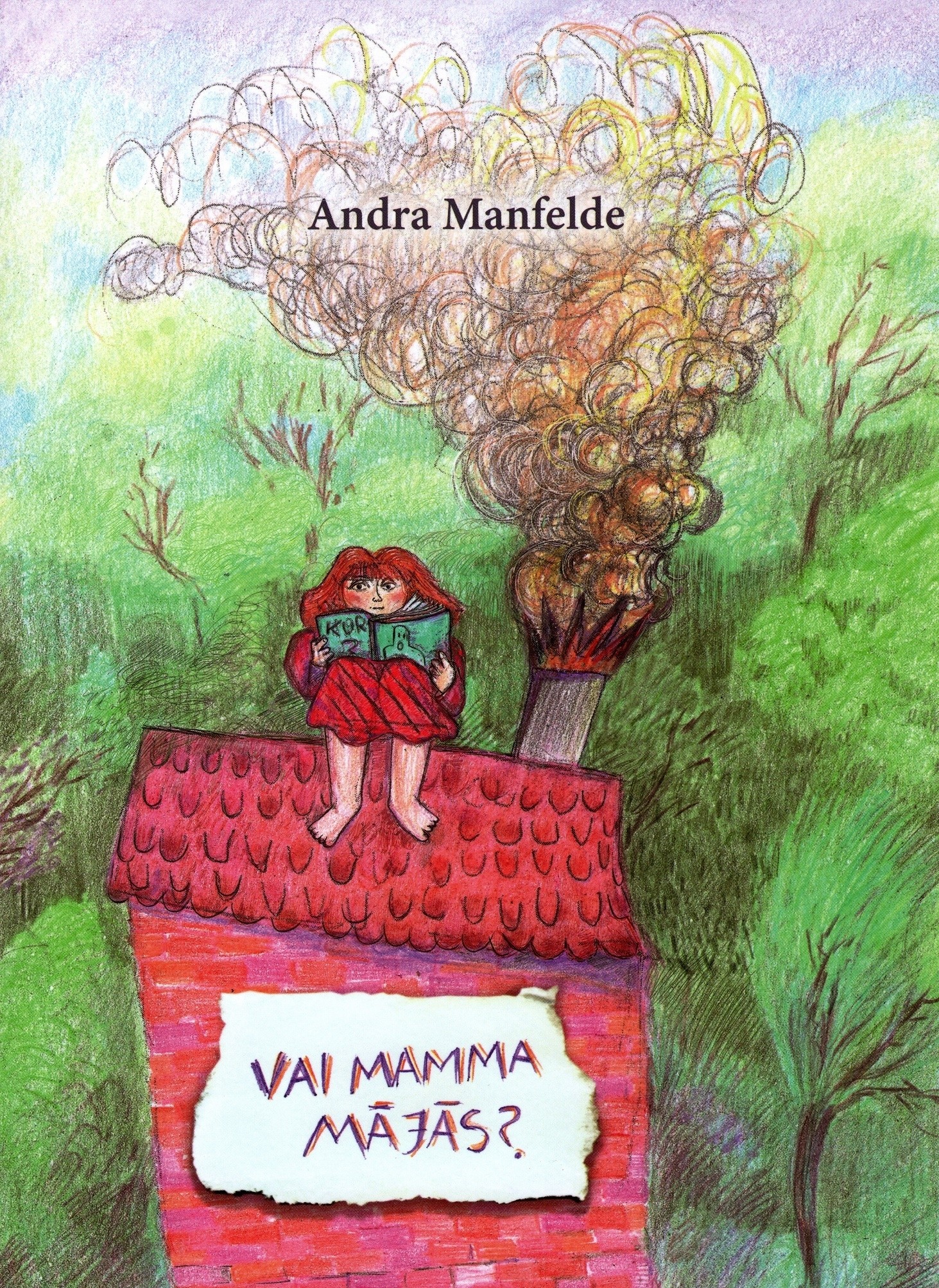 Vai mamma mājās? book cover