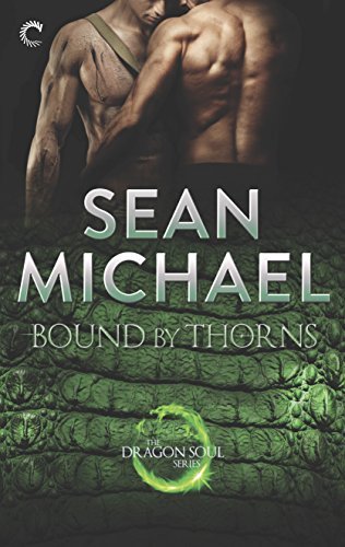 Dragon Soul book cover 3
