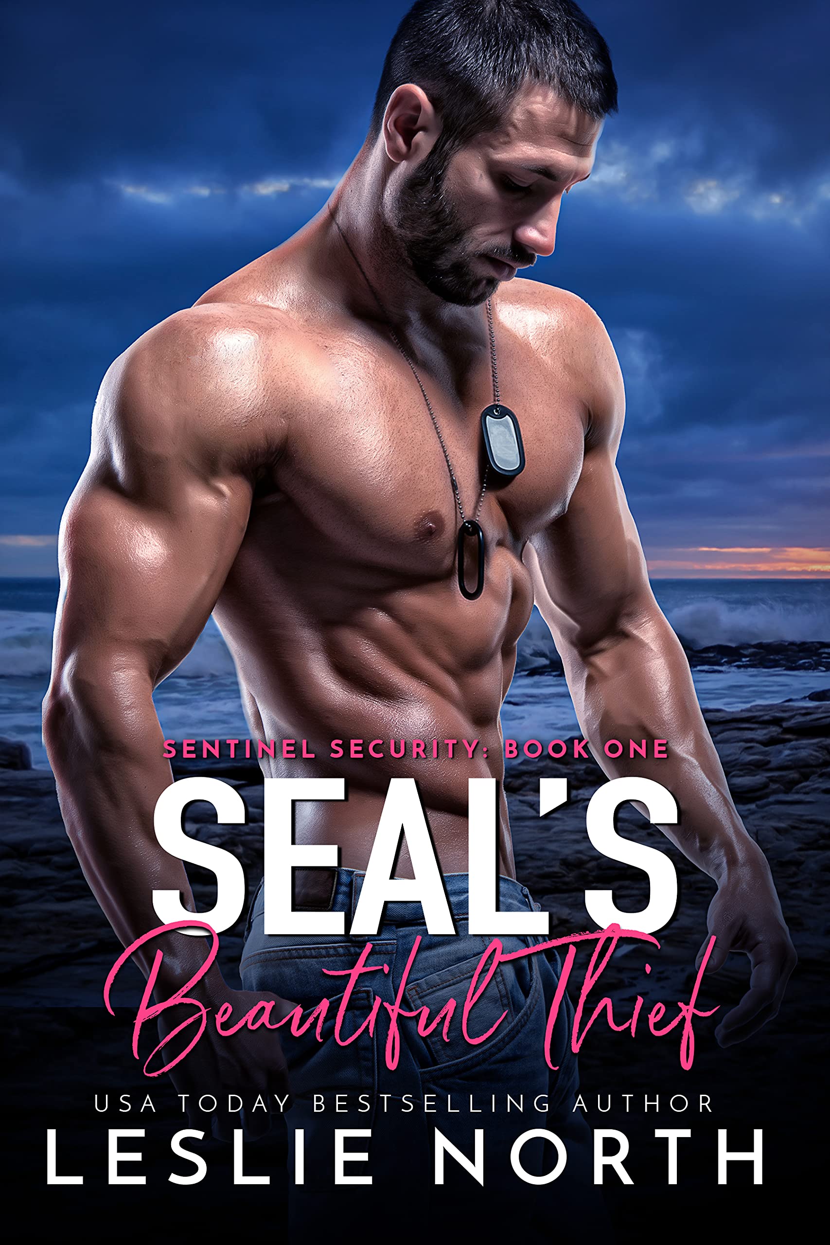 SEAL's Beautiful Thief book cover