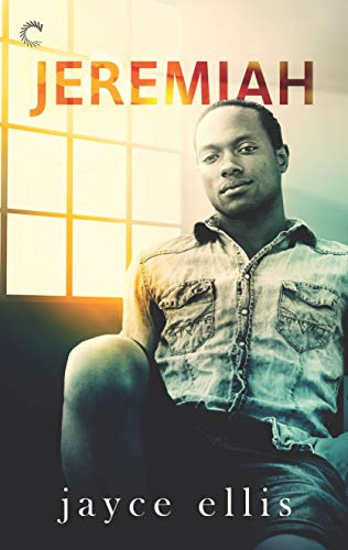 High Rise book cover 1