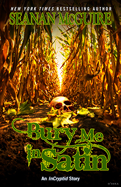 Bury Me In Satin book cover