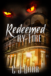Redeemed By Fire book cover
