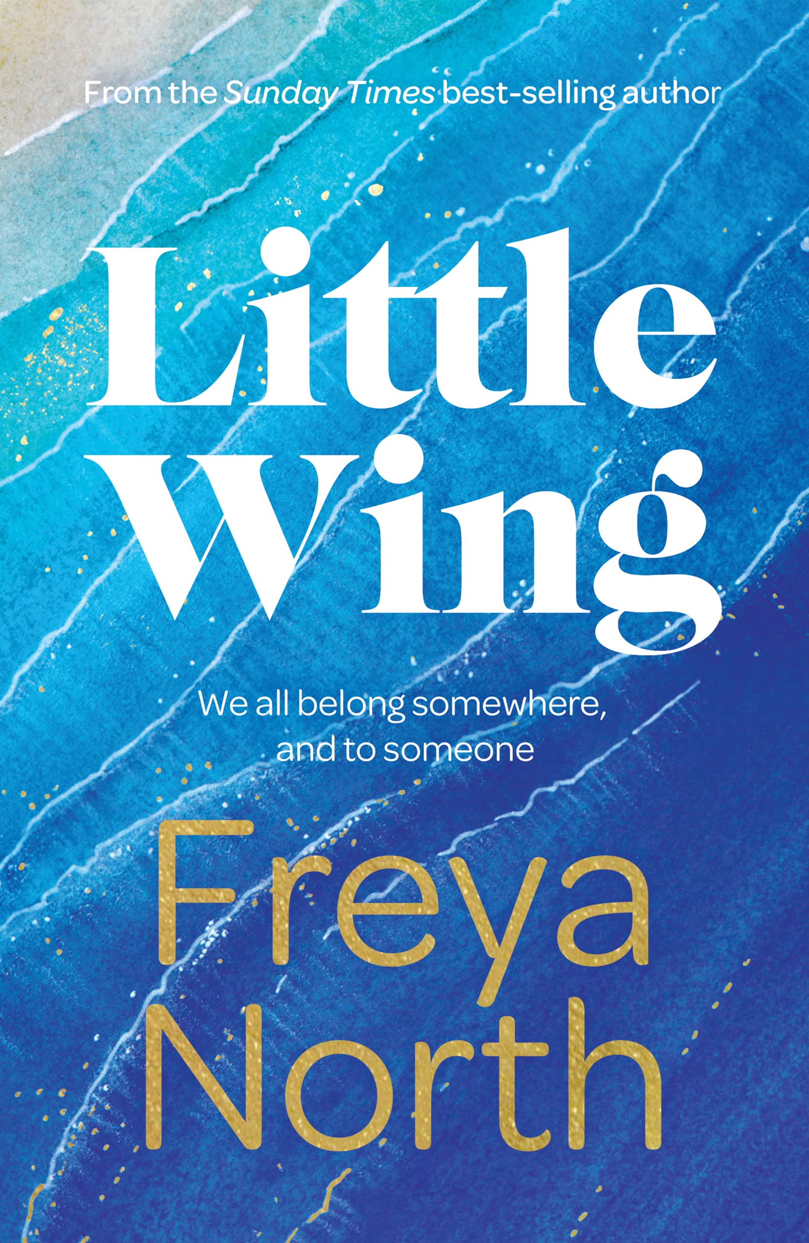 Little Wing book cover
