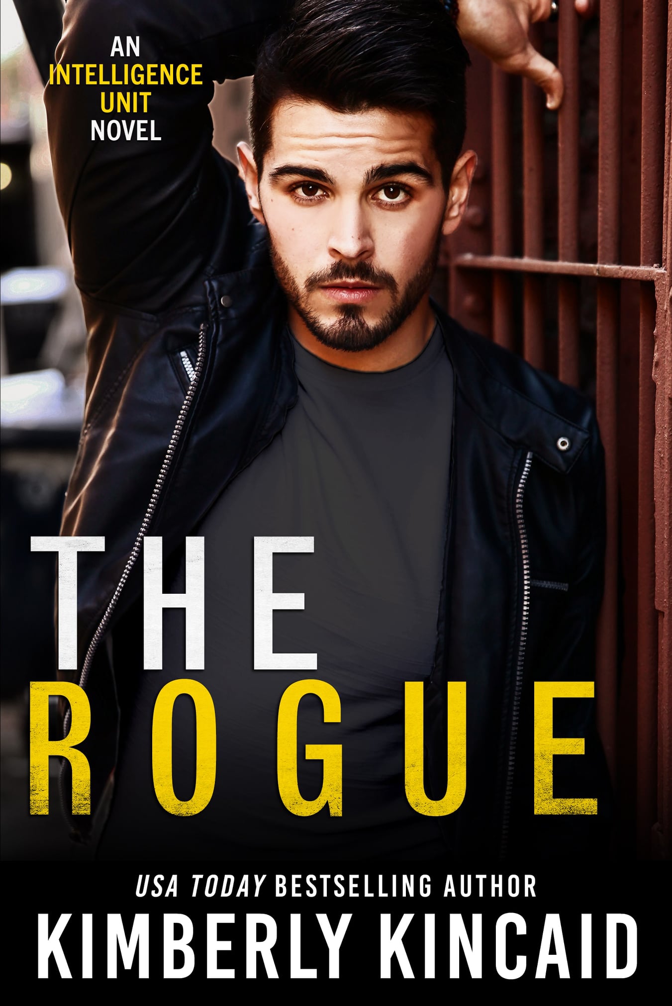 The Rogue book cover