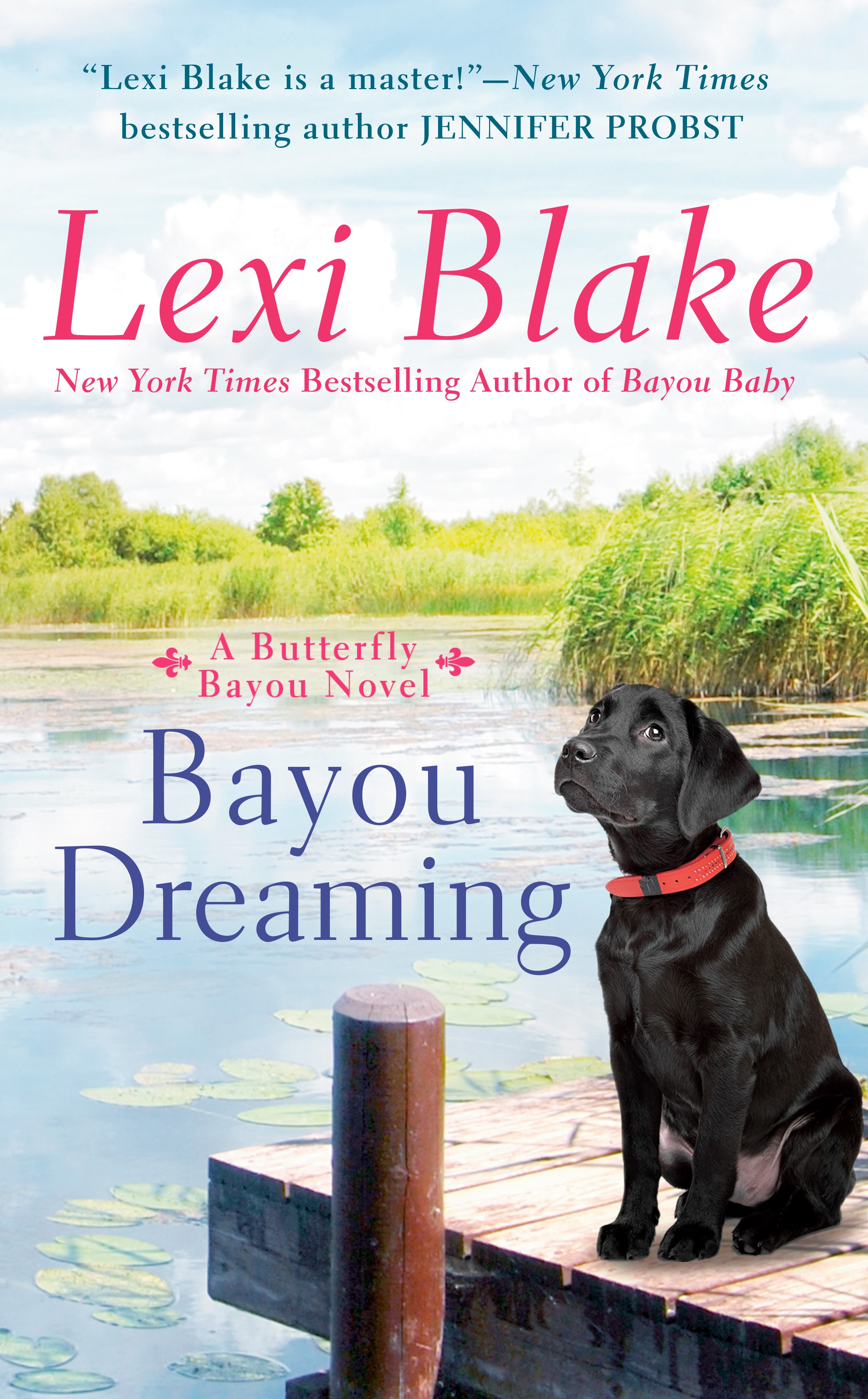 Butterfly Bayou book cover 3