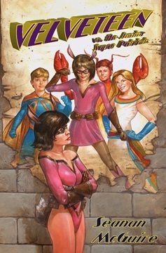 Velveteen vs. book cover 1