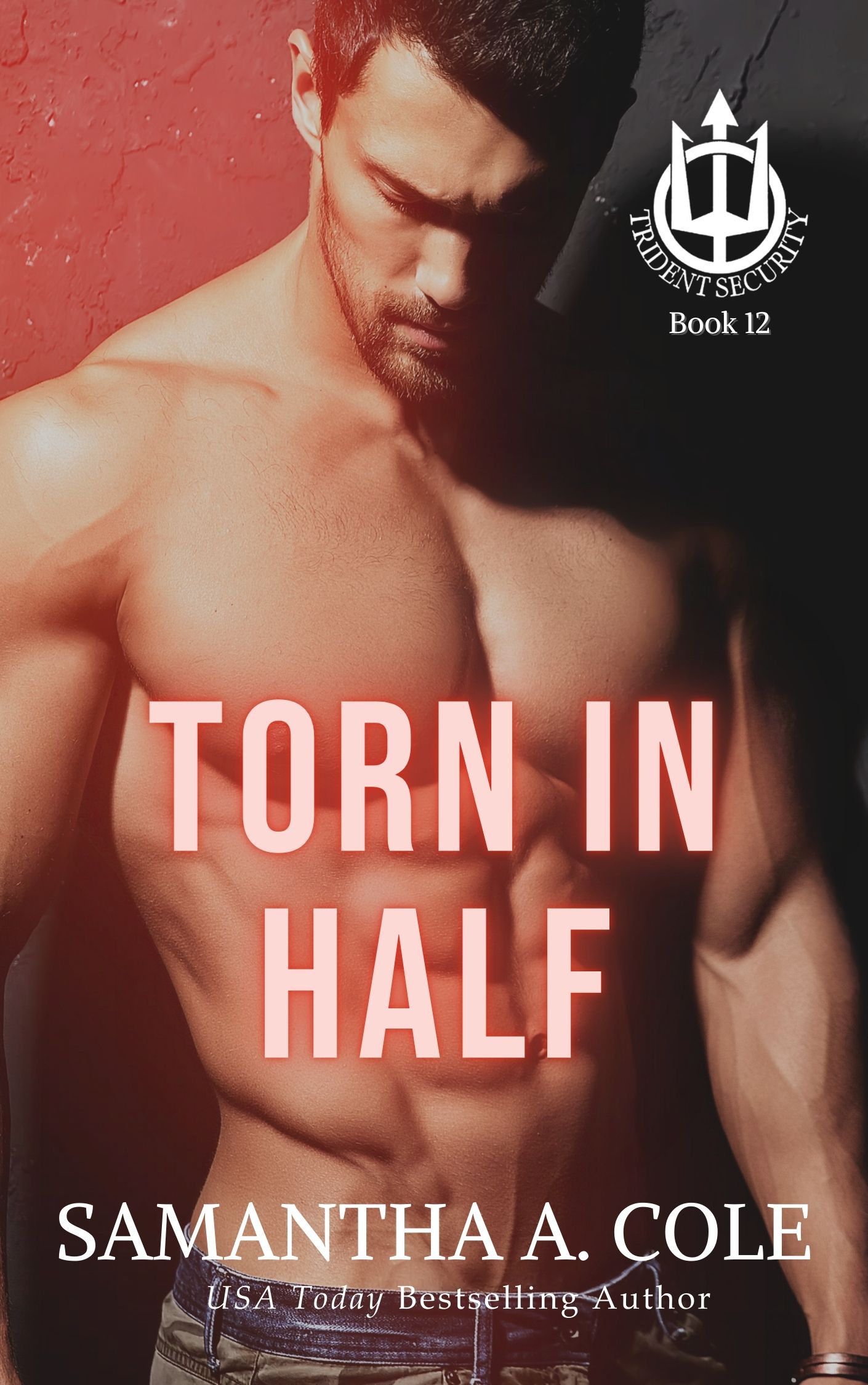 Torn in Half book cover