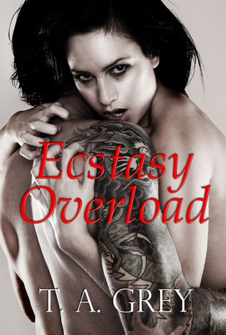 Ecstasy Overload book cover