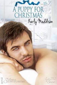 A Puppy for Christmas book cover