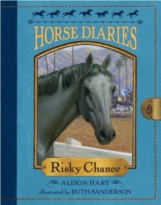 Risky Chance book cover
