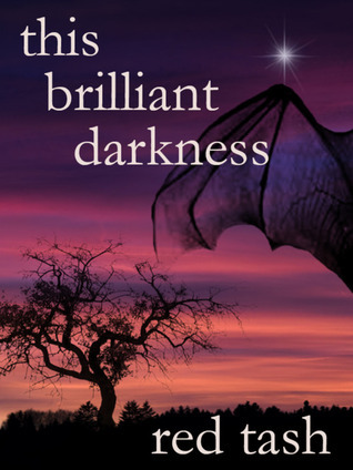This Brilliant Darkness book cover