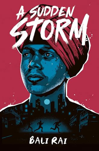 A Sudden Storm book cover