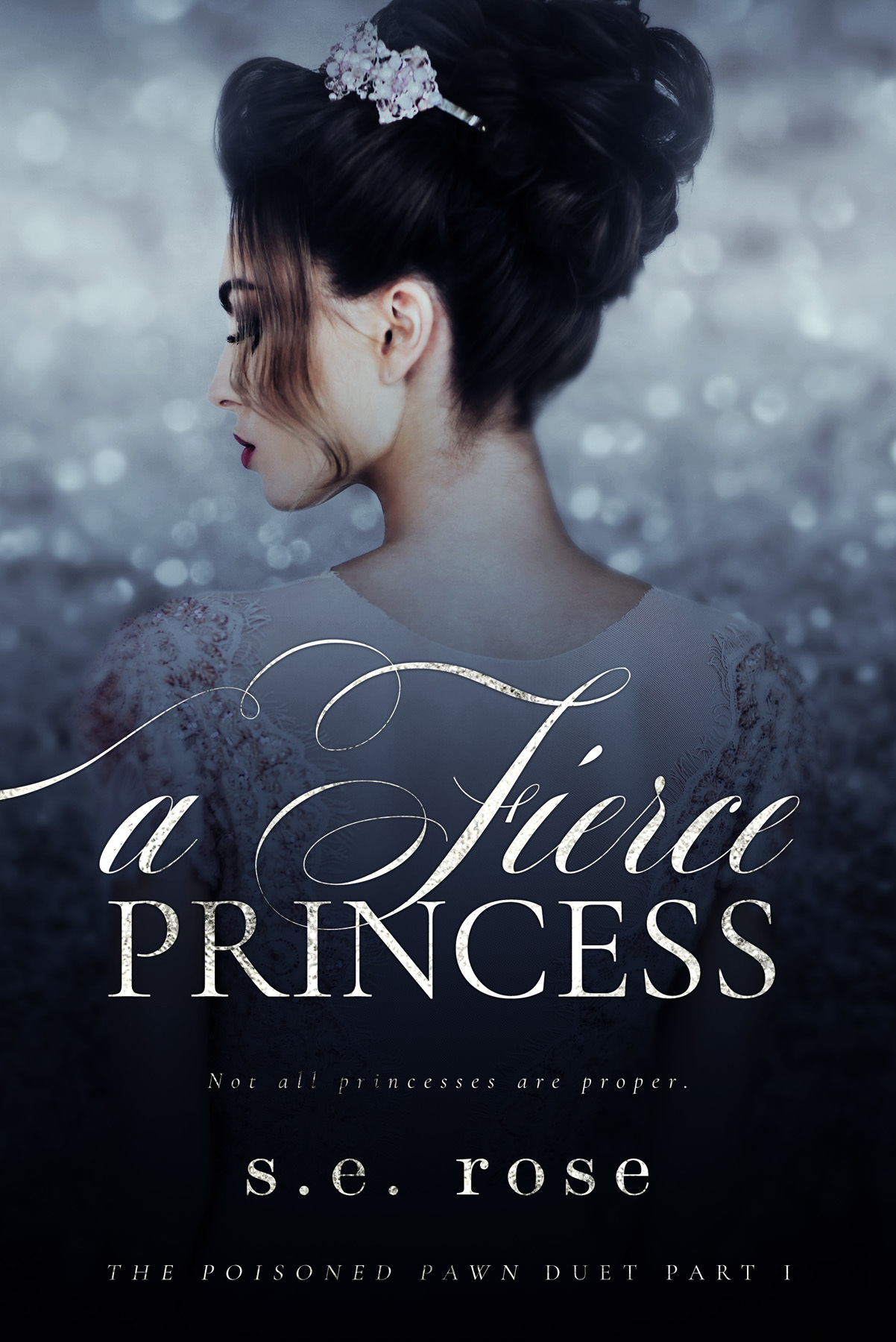 A Fierce Princess book cover