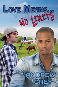 Love Means… No Limits book cover