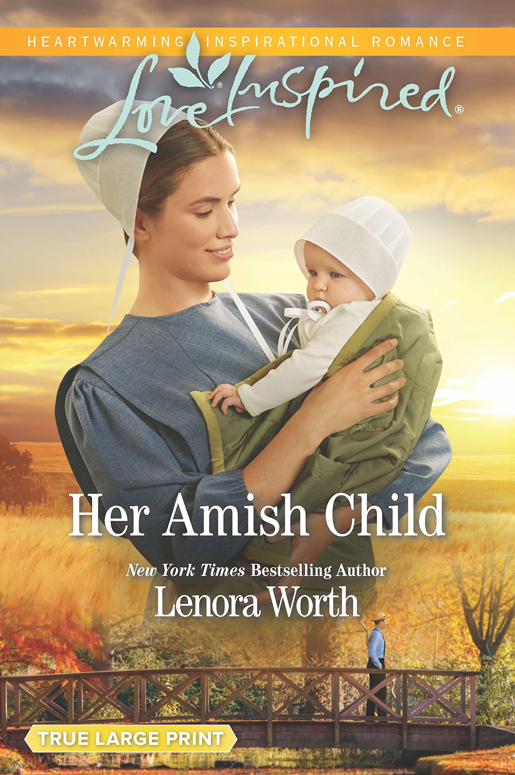 Amish Seasons book cover 2
