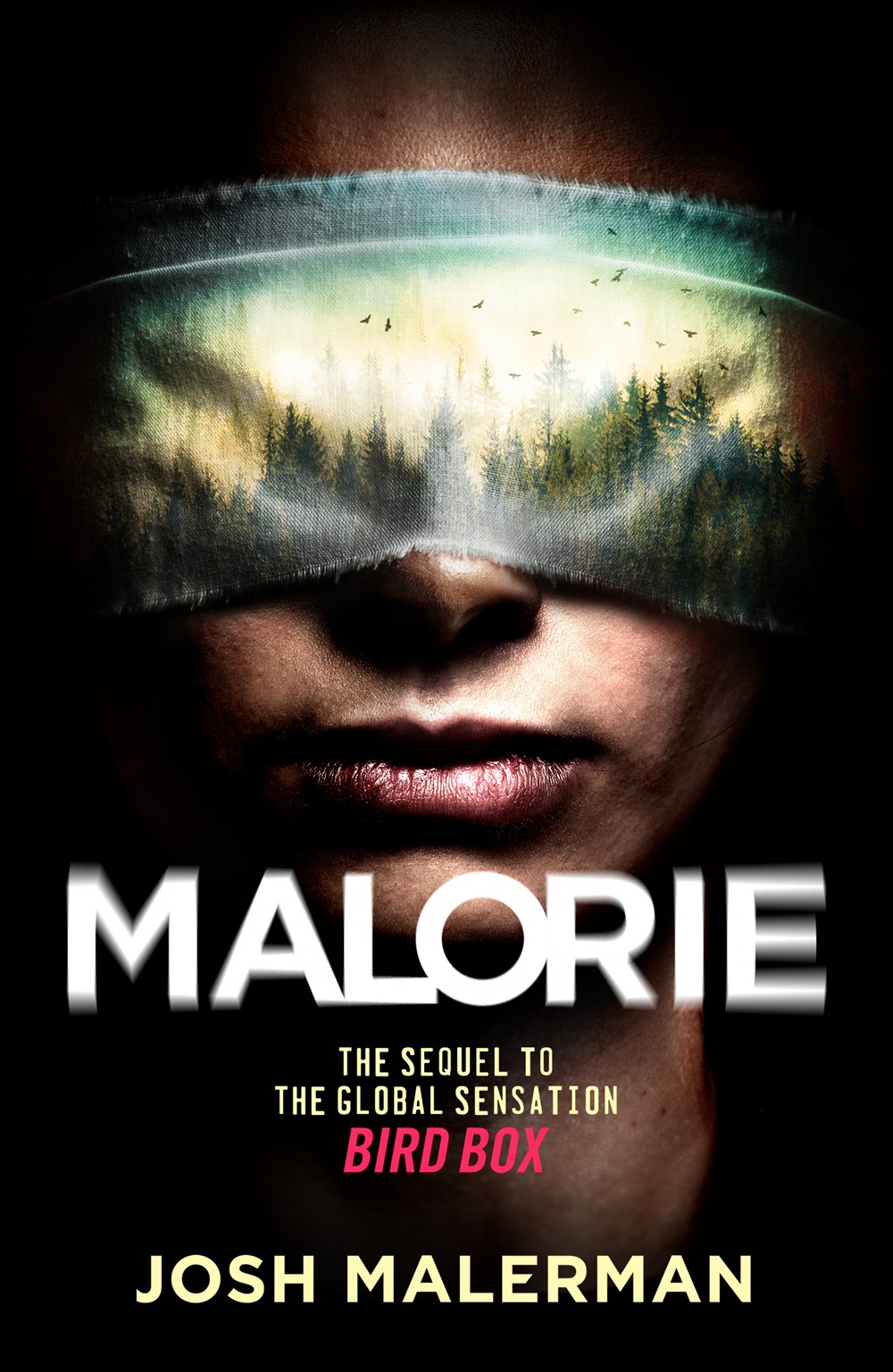 Malorie book cover