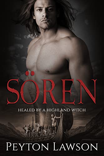 The Jürgensen Vikings book cover 2