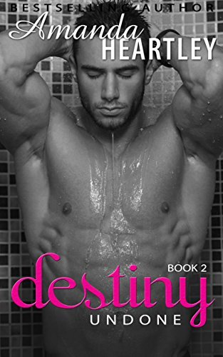 Destiny Undone 2 book cover